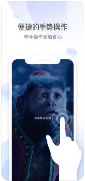 美副总统：绿卡持有者没有无限期留在美国的权利